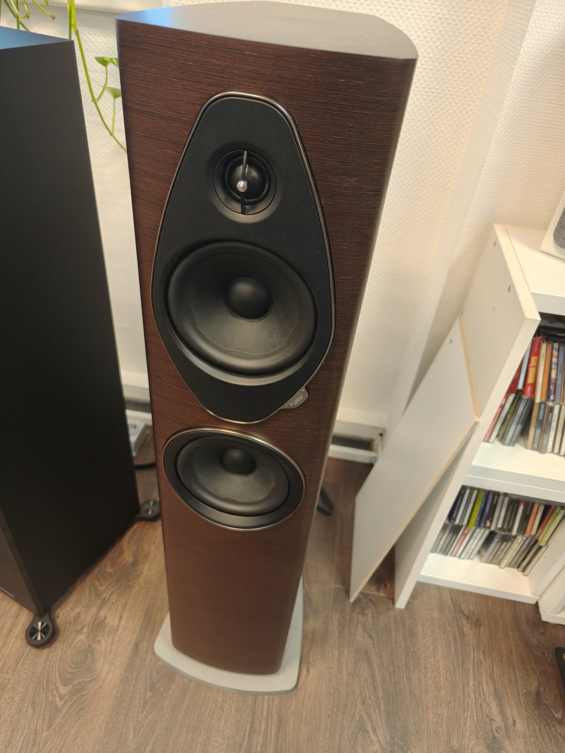 Sonus Faber - Sonetto III G2 - La paire - modèle Stock B – Image 5