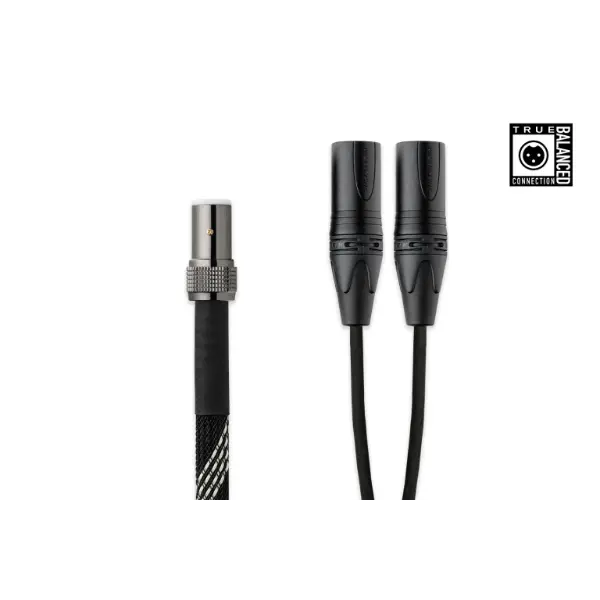 Pro-Ject Connect it DS