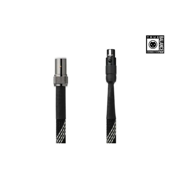 Pro-Ject Connect it DS