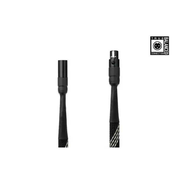 Pro-Ject Connect it DS