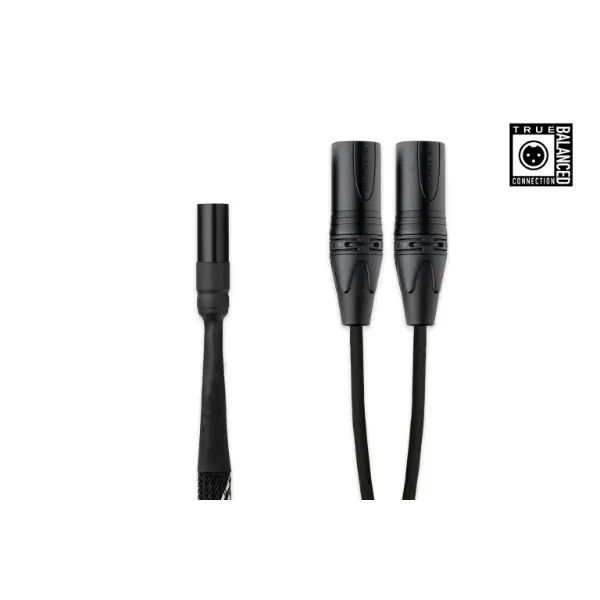 Pro-Ject Connect it DS