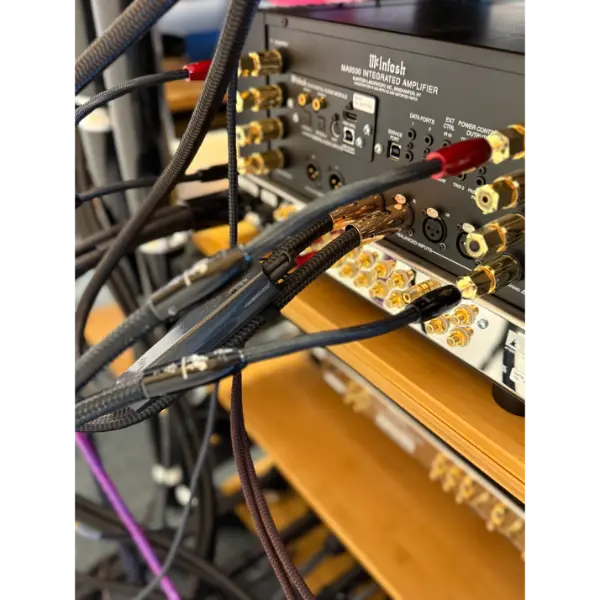 AudioQuest Lone Ranger
