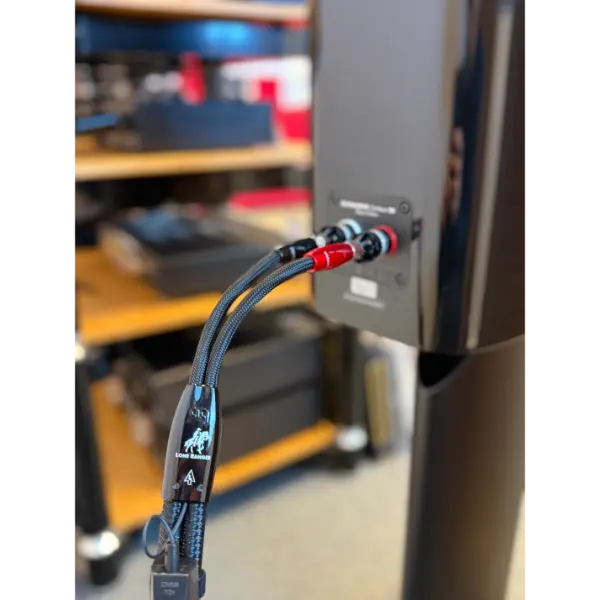 AudioQuest Lone Ranger