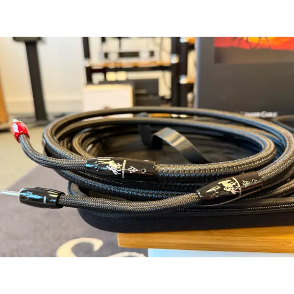 AudioQuest Lone Ranger