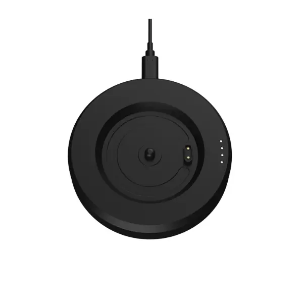 HumminGuru LUMI Record Stabilizer