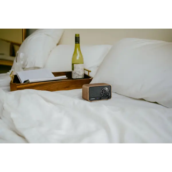 Sangean WR-8 sans modération