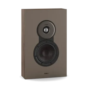 Dali Sonik On Wall Noyer