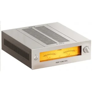 FiiO Warmer DAC R2R Argent