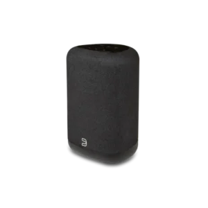 Bluesound PULSE FLEX Noir