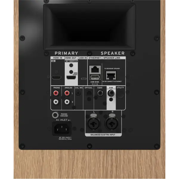 Klipsch The Nines II vue arrière connectiques
