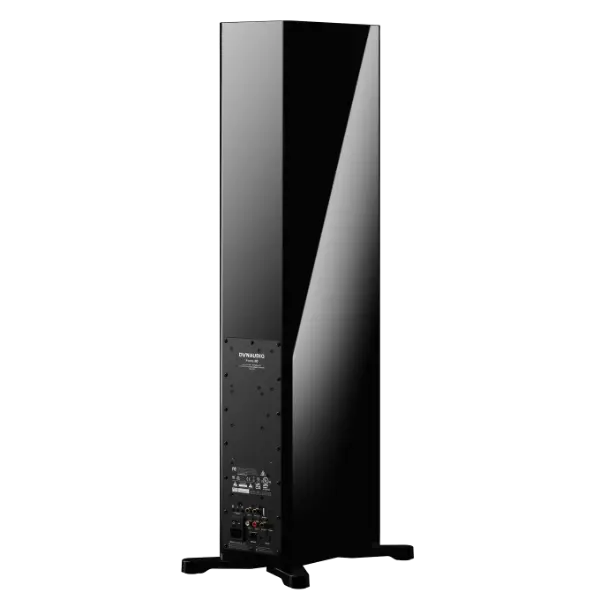 Dynaudio Focus 30 Noir vue arrière