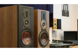 FAQ : Les Enceintes Hifi