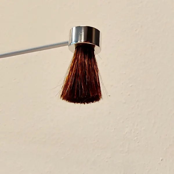 brosse vinyle poils naturels